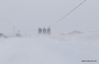 別海実顕地B牛舎の吹雪