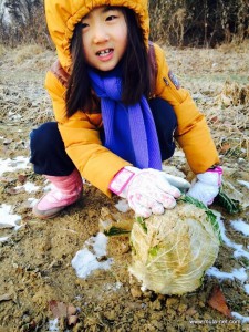 2015冬の韓国楽園村-029