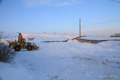 別海実顕地養鶏部鶏舎の除雪