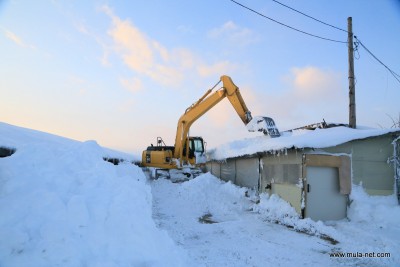 別海実顕地養鶏部鶏舎の除雪