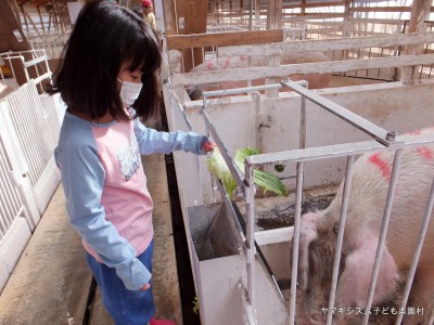 2015年春の子ども楽園村