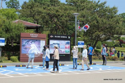 韓国養鶏法 20150520_7657