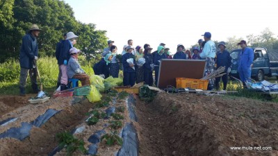 韓国養鶏法 20150521_5341