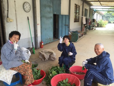 韓国養鶏法 20150517_8695