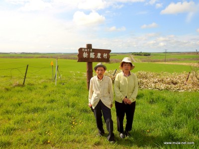 岡本夫妻