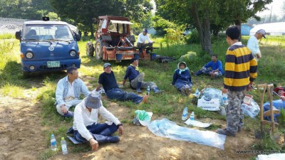 韓国養鶏法 20150521_6345