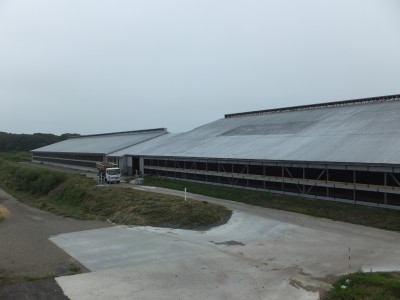 バイオガス施設から見る牛舎