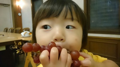 あれ？お嬢さん、ちょっと食べ方が違うと思いますが…？？