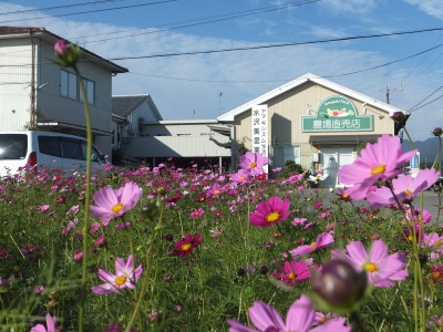 美里の村へ訪問