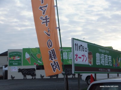 １１月７日開店当日