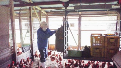 養鶏部交流の金谷信雄さん