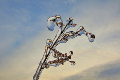 冬の芸術　雨氷
