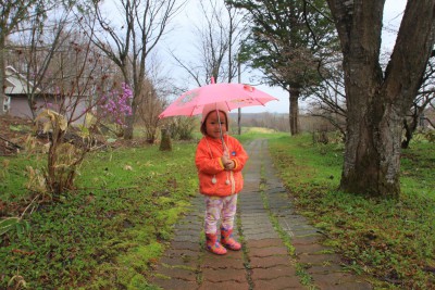 雨の日加藤愛埜