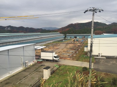 建物の基礎工事