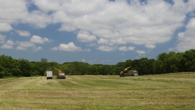 牧草収穫風景