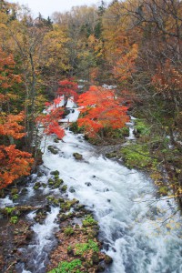 阿寒の紅葉