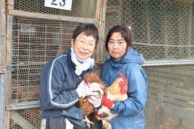 榛名養鶏部のプジェさんです。
中村冨美子さんと一緒にやっています。