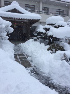 名古屋ファーム便が、雪で車が出ない為、午前便は行けませんでした。代わりに今日は、愛和館前の雪掻きです。
東北では考えられないかもしれませんが、学校も雪の為お休みです。