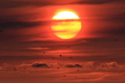 風連湖の夕日