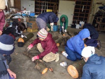 今朝はなめこの植菌 総監督は福崎さん◆平島春美(加賀)