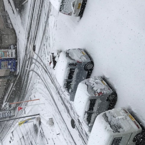  東京に大雪警報が出ました。 あっと言う間に多摩の生活館の駐車場が 真っ白になりました。 驚きました。