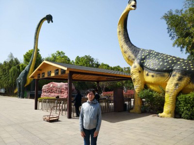 西峡県の観光地恐竜博物館。