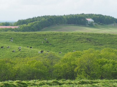 牧草地から生活館を望む