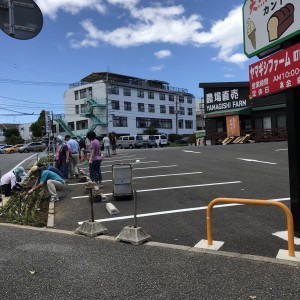 養鶏法での定植A