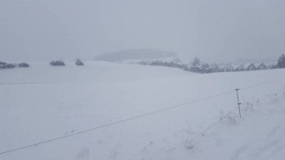 雪です。散歩に出てるけど 疲れるー