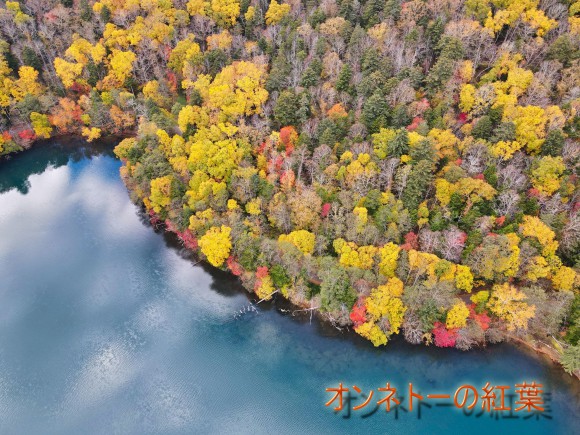 DJI_0496オンネトーの紅葉