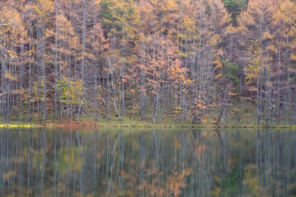 DSC_5020_00001