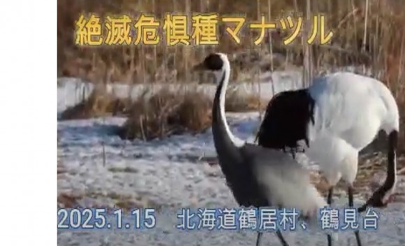 タイトルなし