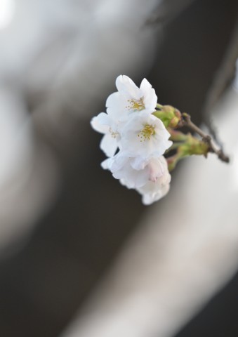 DSC_5903_00001
