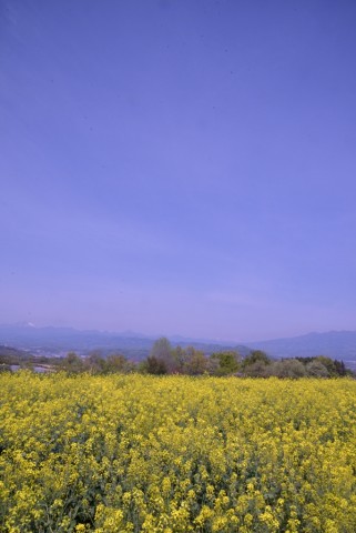 DSC_5963_00001_01