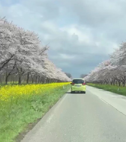 タイトルなし