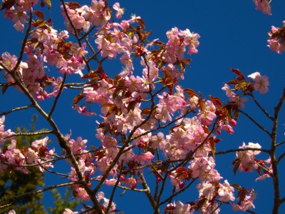 DSCN9456