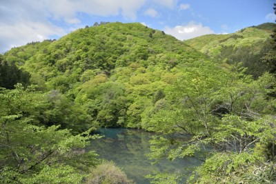 DSC_6031_00001