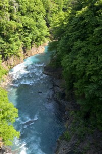 DSC_6107_00001