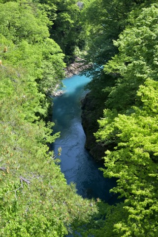 DSC_6112_00001