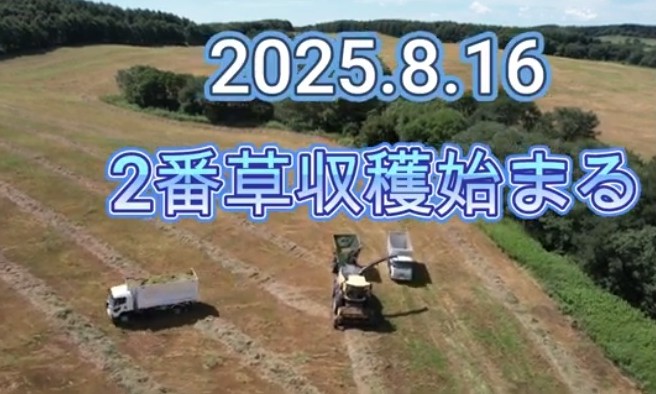 タイトルなし