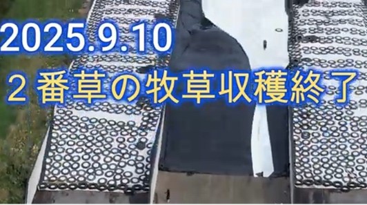 タイトルなし