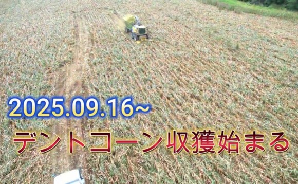 タイトルなし