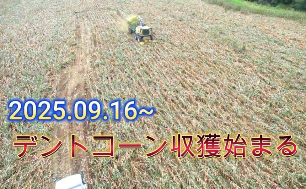 タイトルなし