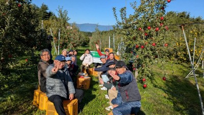 りんご畑ナウ🍎