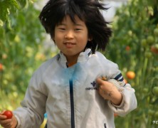 実顕地ひとつを顕す楽園村(春日山)