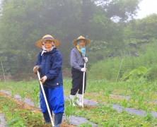 別海からの便り