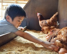 「卵鶏ツアーｉｎ榛名」