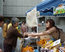 京都マルシェへ