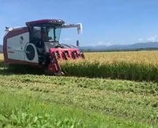 大潟実顕地稲刈り🌾始まりました～