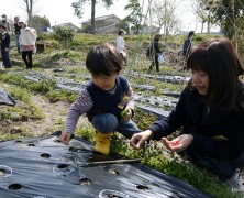 全部が活かされて【北条】